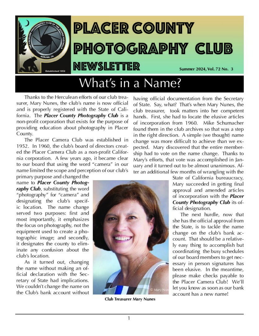 Cover preview for Summer 2024 newsletter
