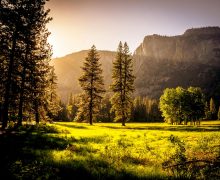 Sunlit meadow with trees and mountains Sunlit meadow with forest and mountains